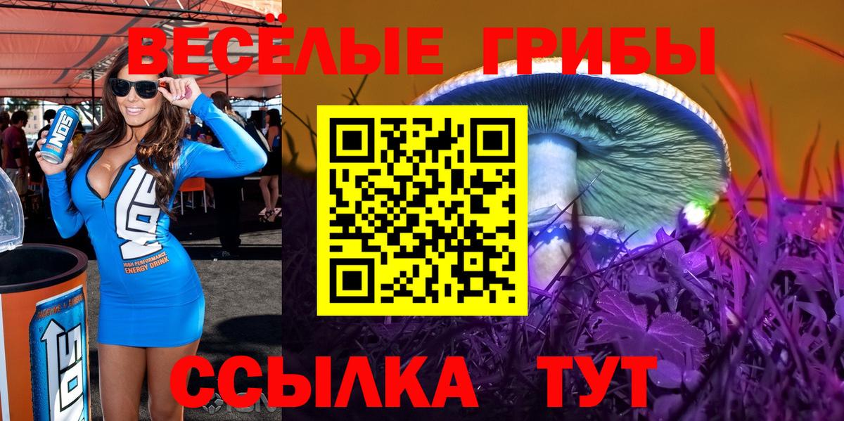 Псилоцибиновые грибы прущие грибы  Псилоцибиновые грибы прущие грибы  Вход с VPN  Менделеевск 